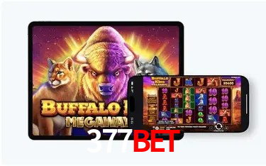 Sistemas de Segurança 377bet